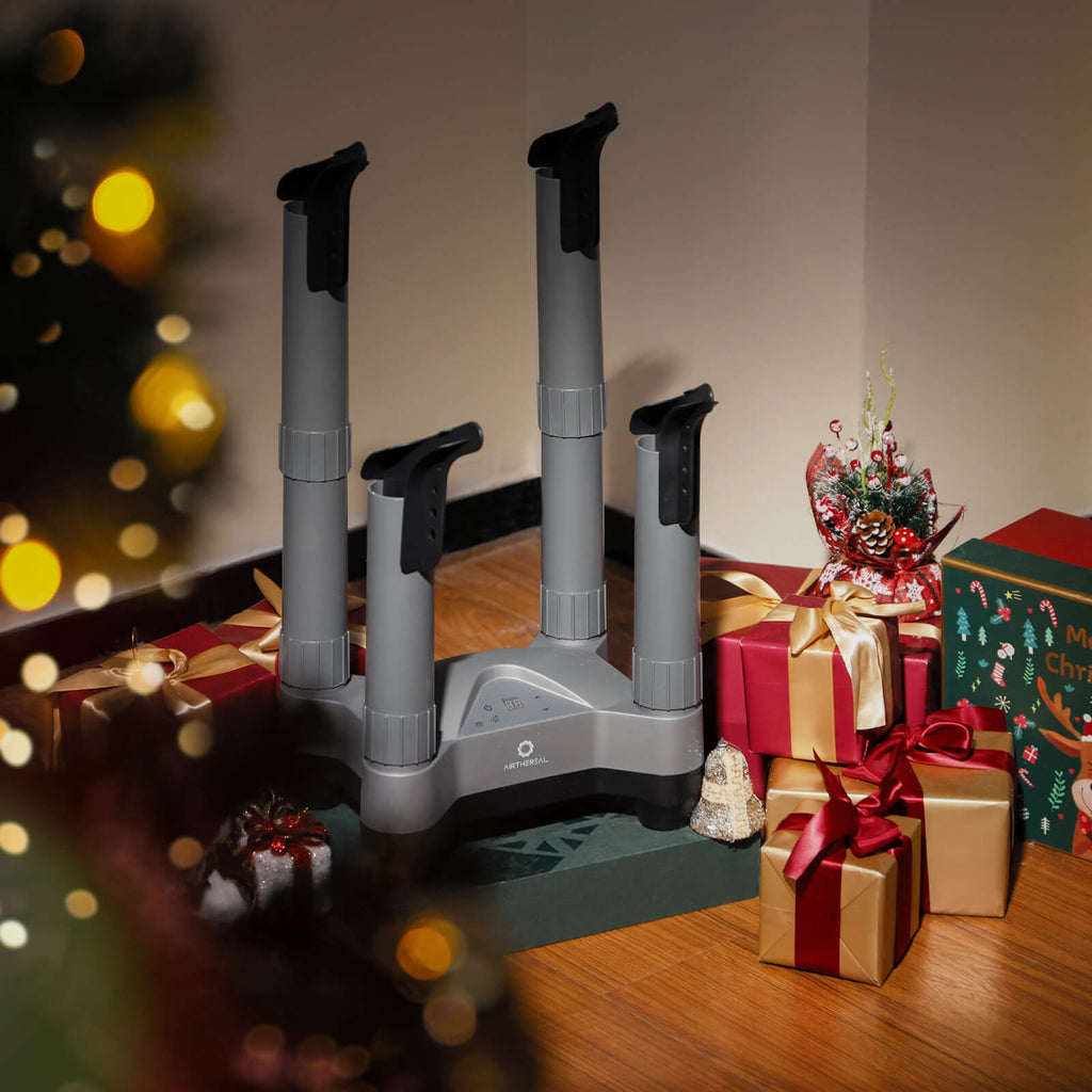 SD20 Boot and Shoe Dryer and Deodorizer with Heat